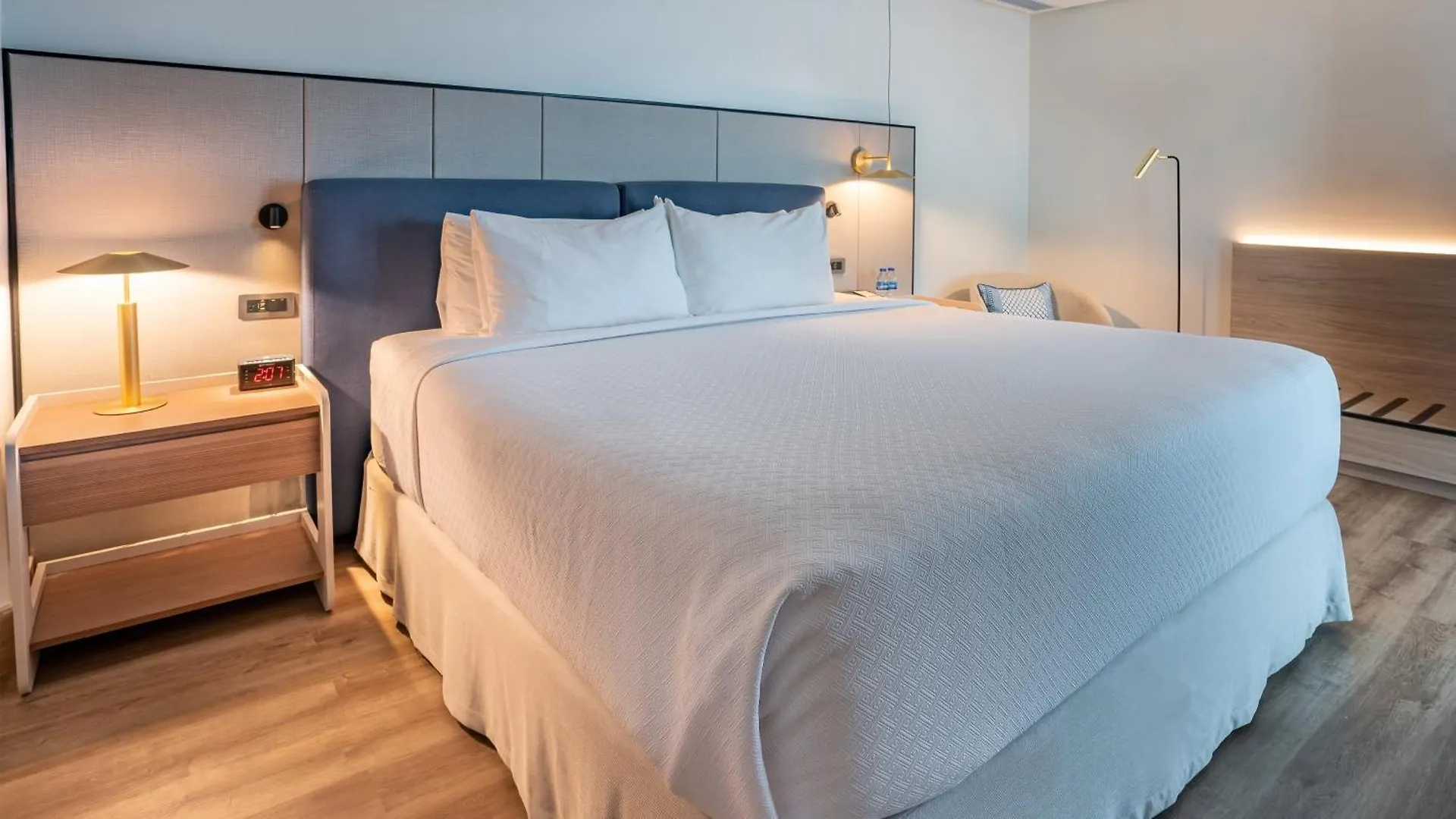 Отель Crowne Plaza Santo Domingo By Ihg